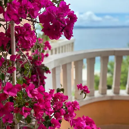 Spomenka Podgora (Split-Dalmatia)