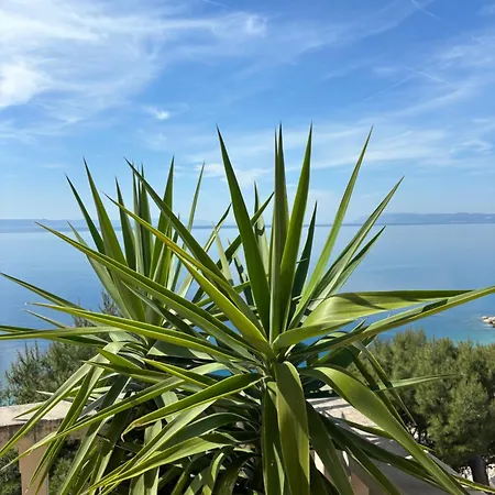 Spomenka