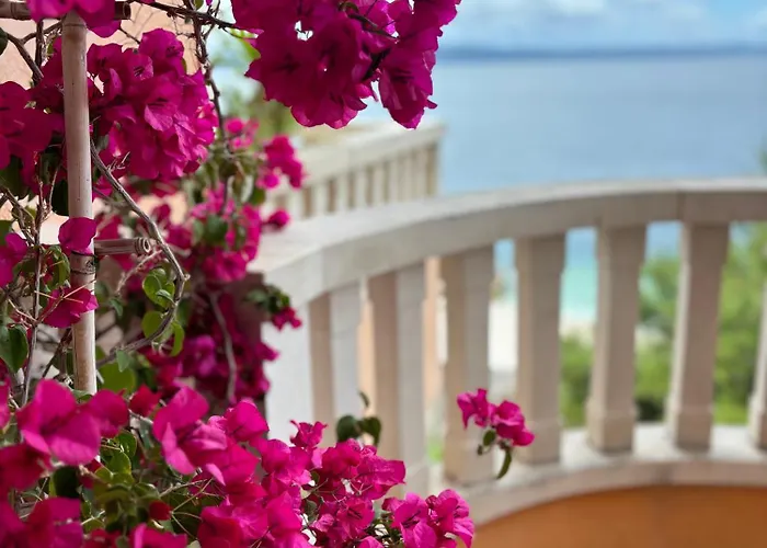 Spomenka Podgora (Split-Dalmatia)